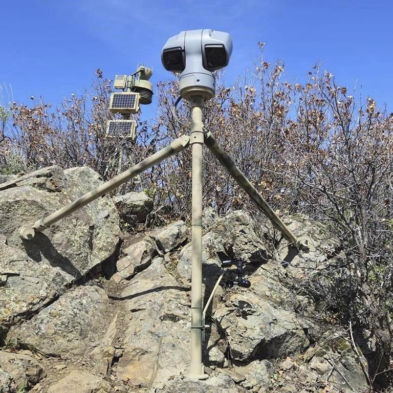 Webcam monitors hundreds of rattlesnakes at a Colorado 'mega den' for citizen science
